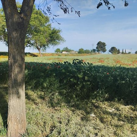 Casa Rural El Realengo ラス・カサス エクステリア 写真