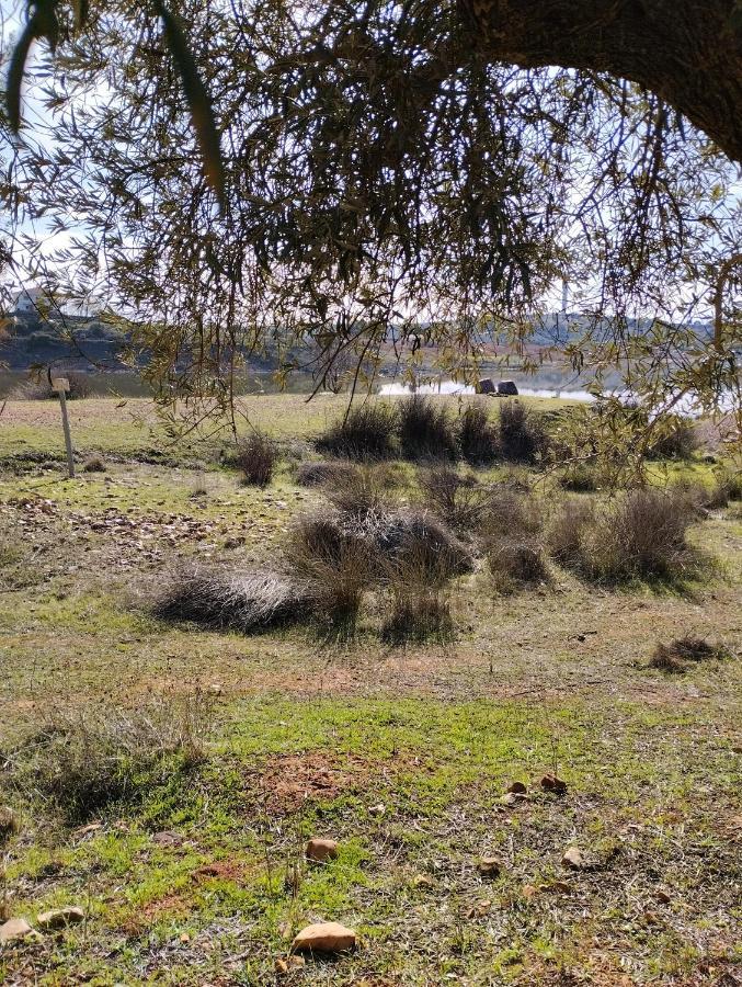 Casa Rural El Realengo ラス・カサス エクステリア 写真